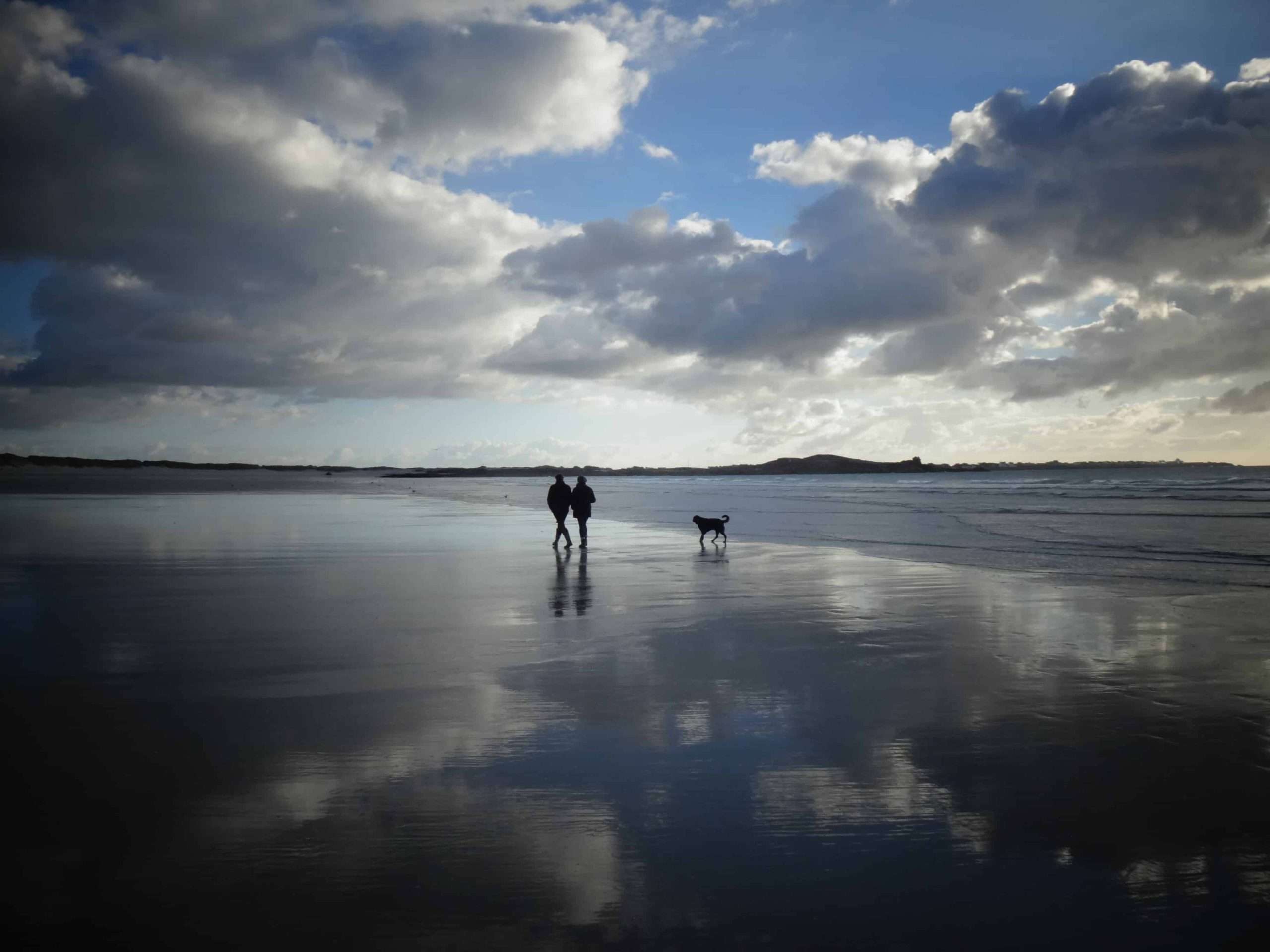 Two people walking on the beach with their dog
