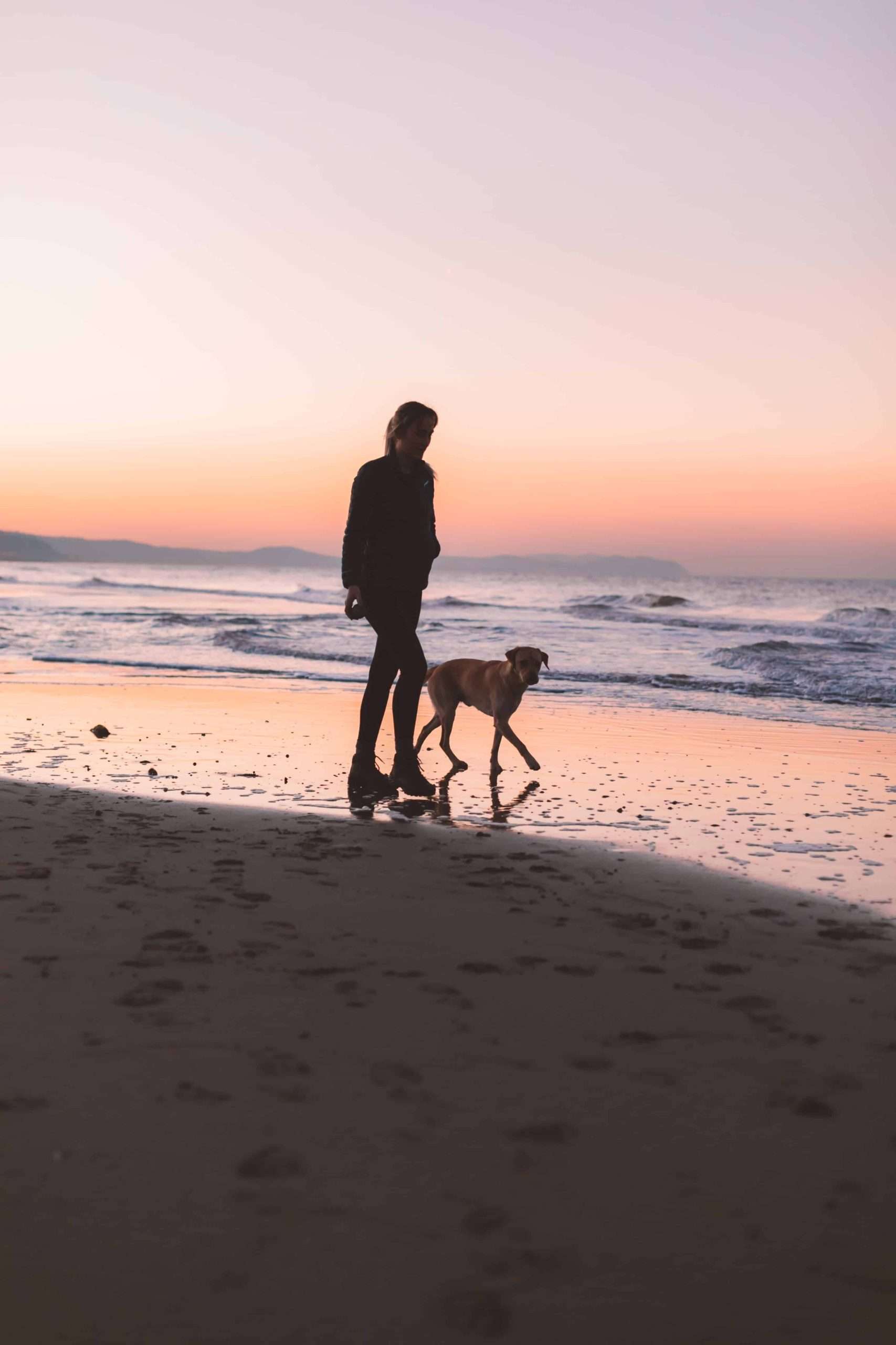 dogs and our mental health