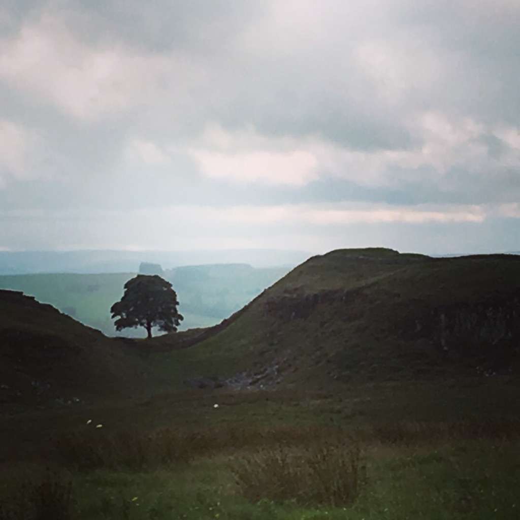 Dog Walk along Hadrian's Wall