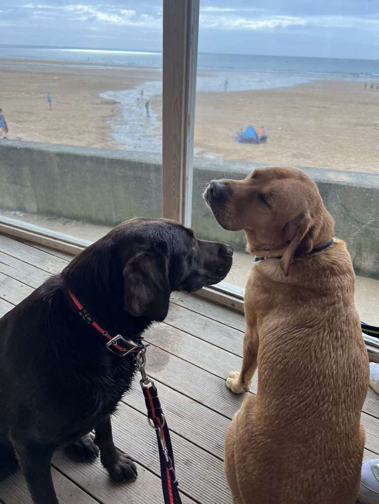 Henry & Bella on Beach Hut terrace