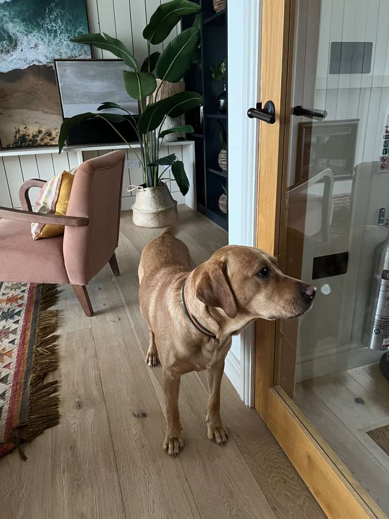 Henry in Watergate Bay Hotel Village Apartment