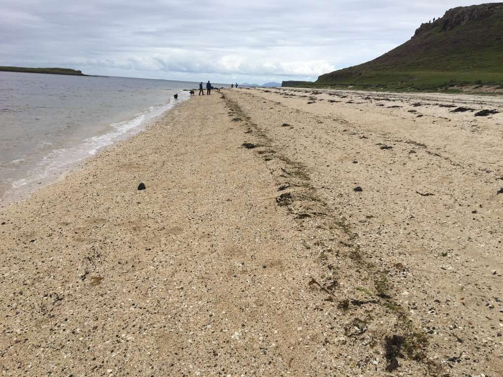 Dunvegan dog walk Skye