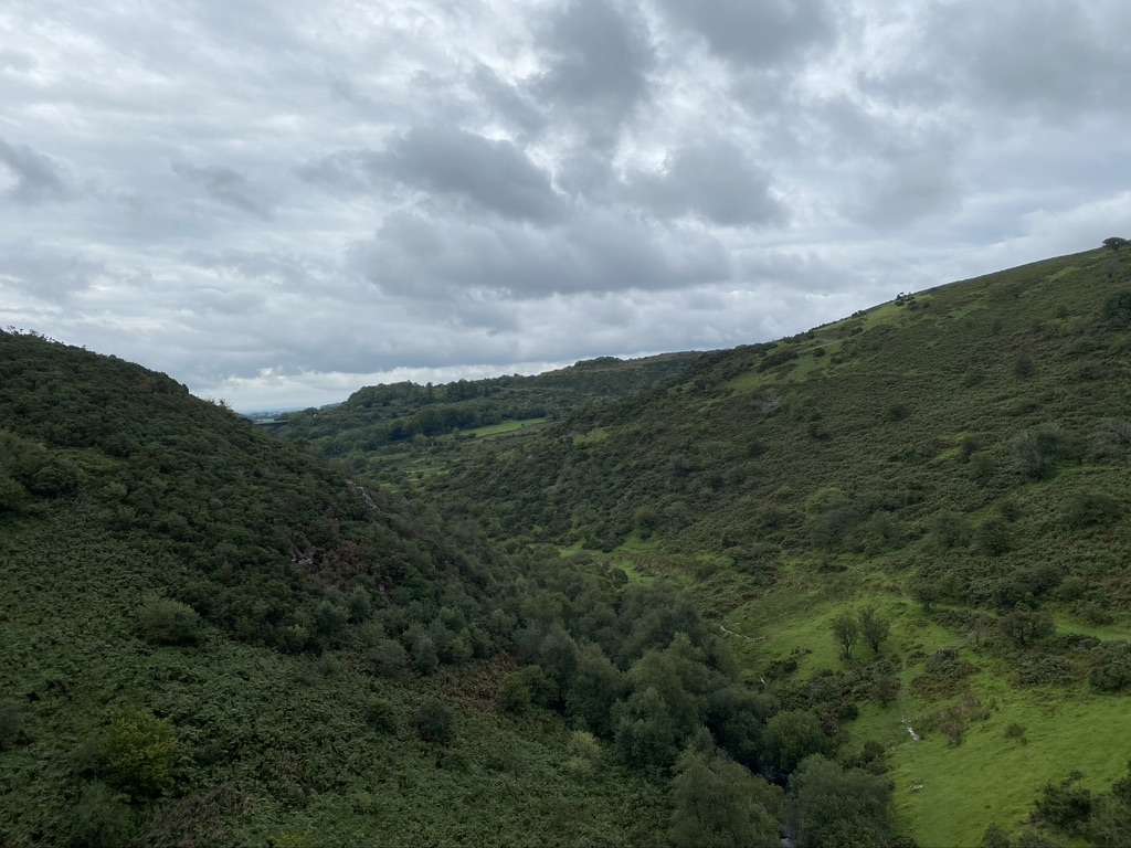 Meldon Reservoir dog walk