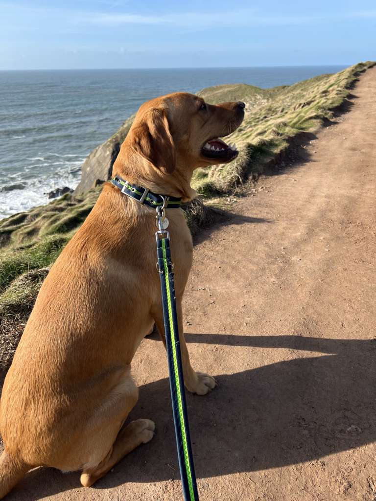 Coastal path Croyde