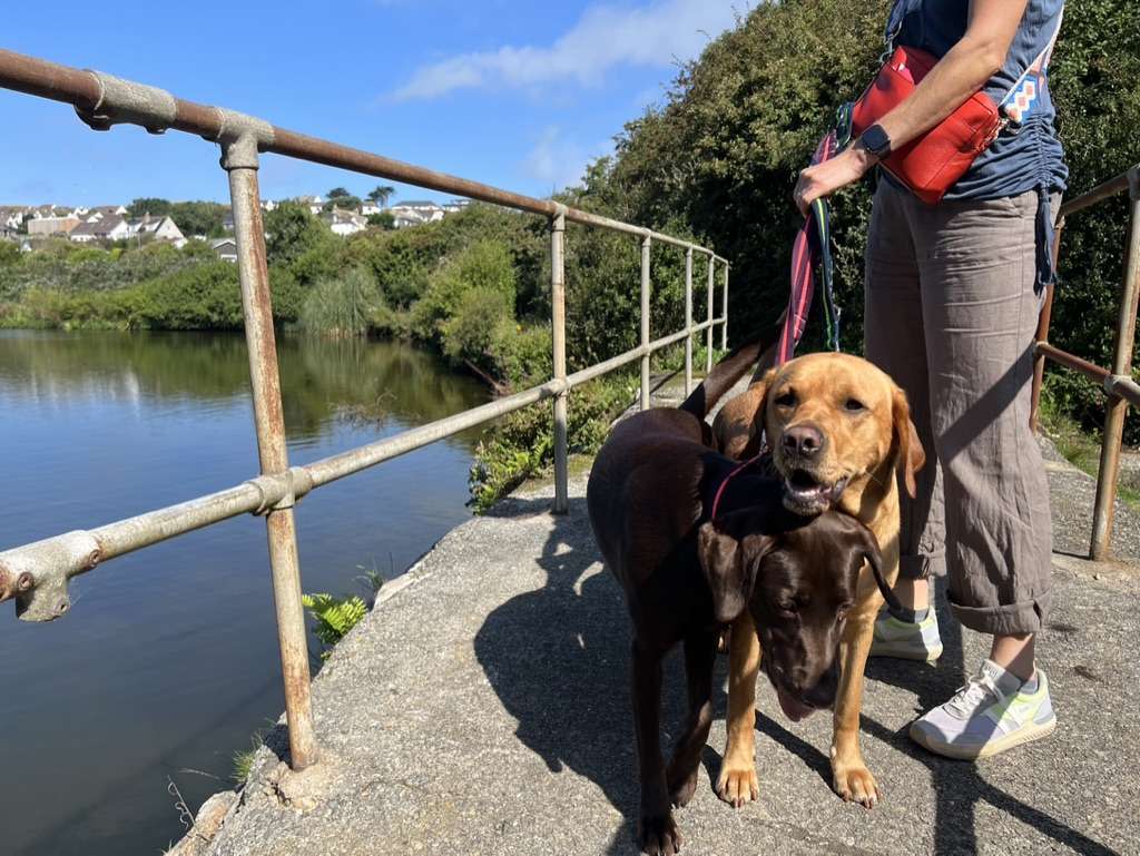 Henry & Bella on The Camel Trail