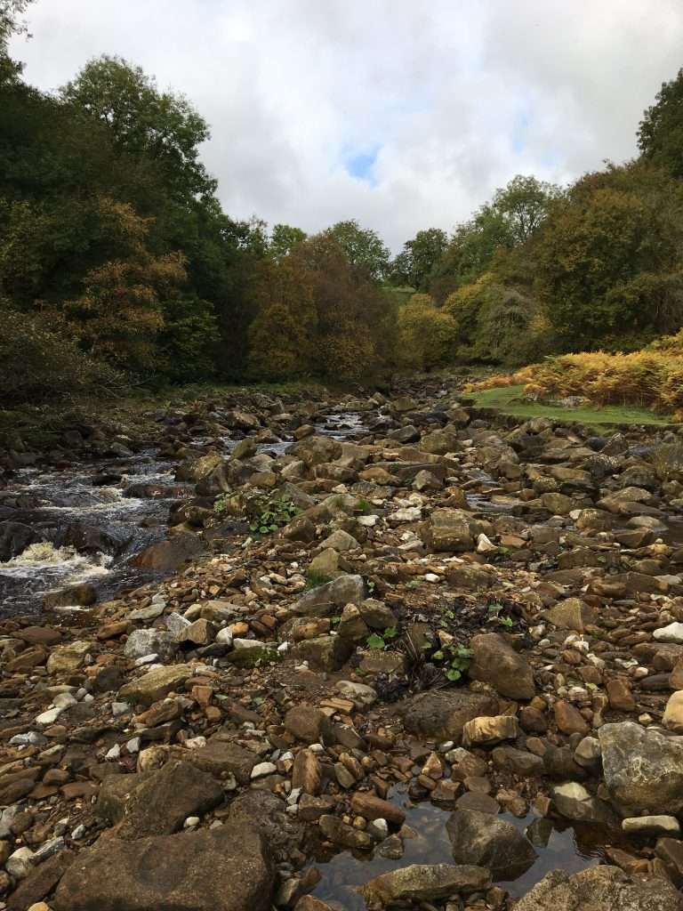 Gunnerside Gill dog walk