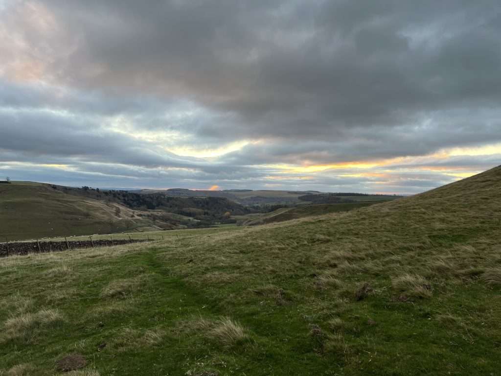 Malham Cove Dog Walk