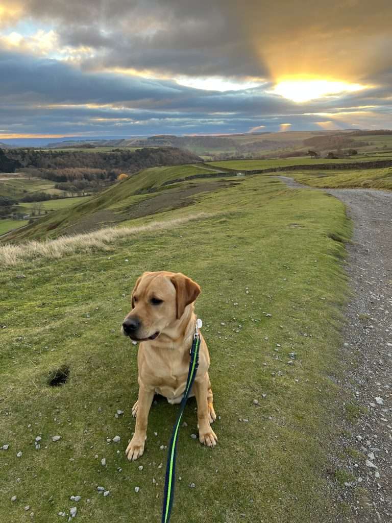 Henry up the Yorkshire Dales