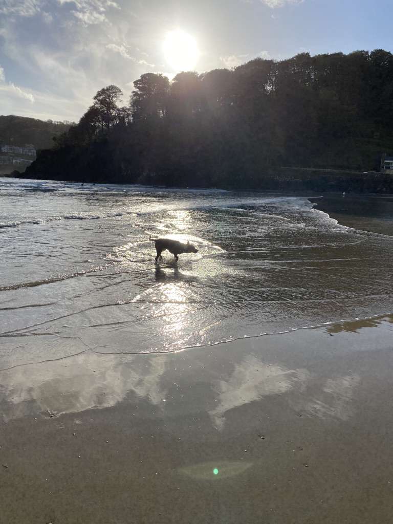 North Sands Beach