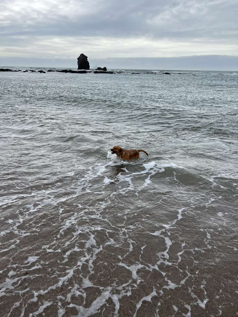 Thurlestone beach