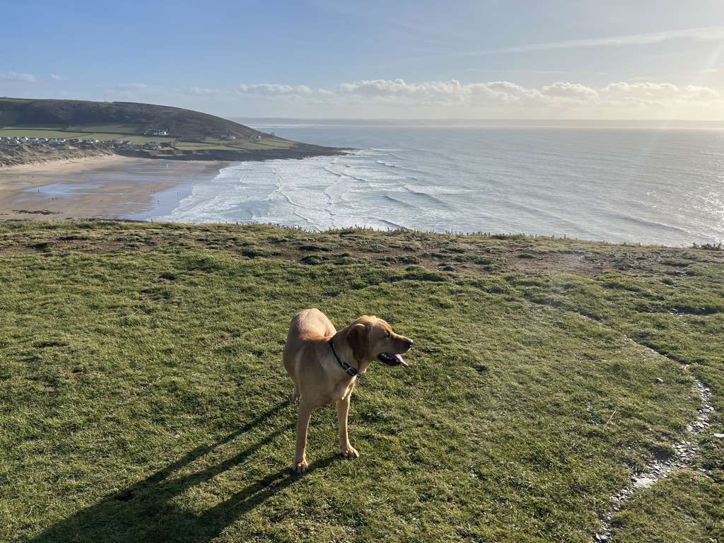 Baggy Point Dog walk