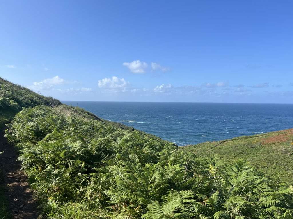 Halfway on St Ives dog walk
