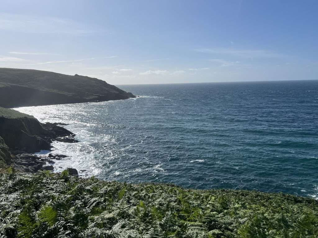 St Ives to Zennor dog walk