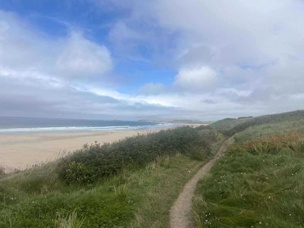 Hayle beach dog walk
