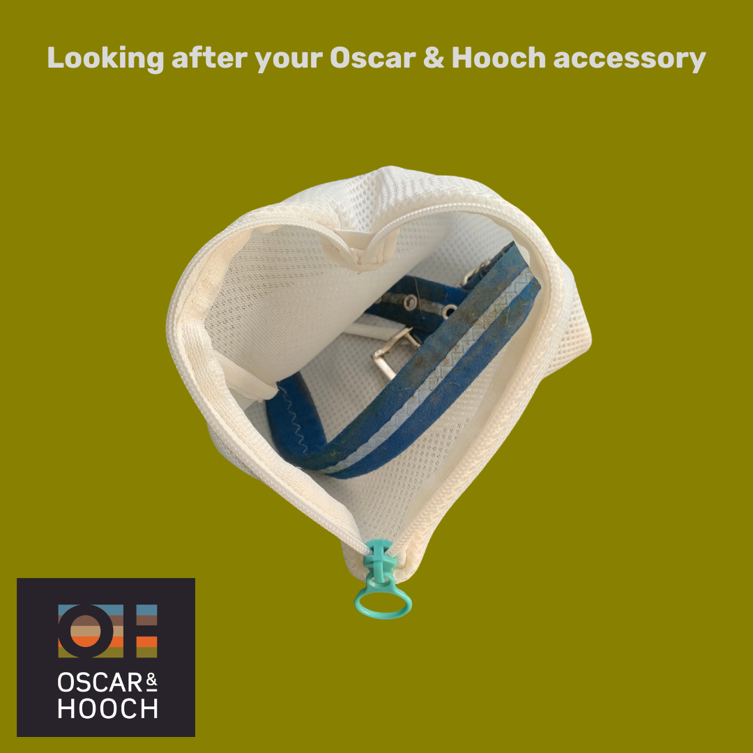 Caring for Oscar & Hooch dog accessory