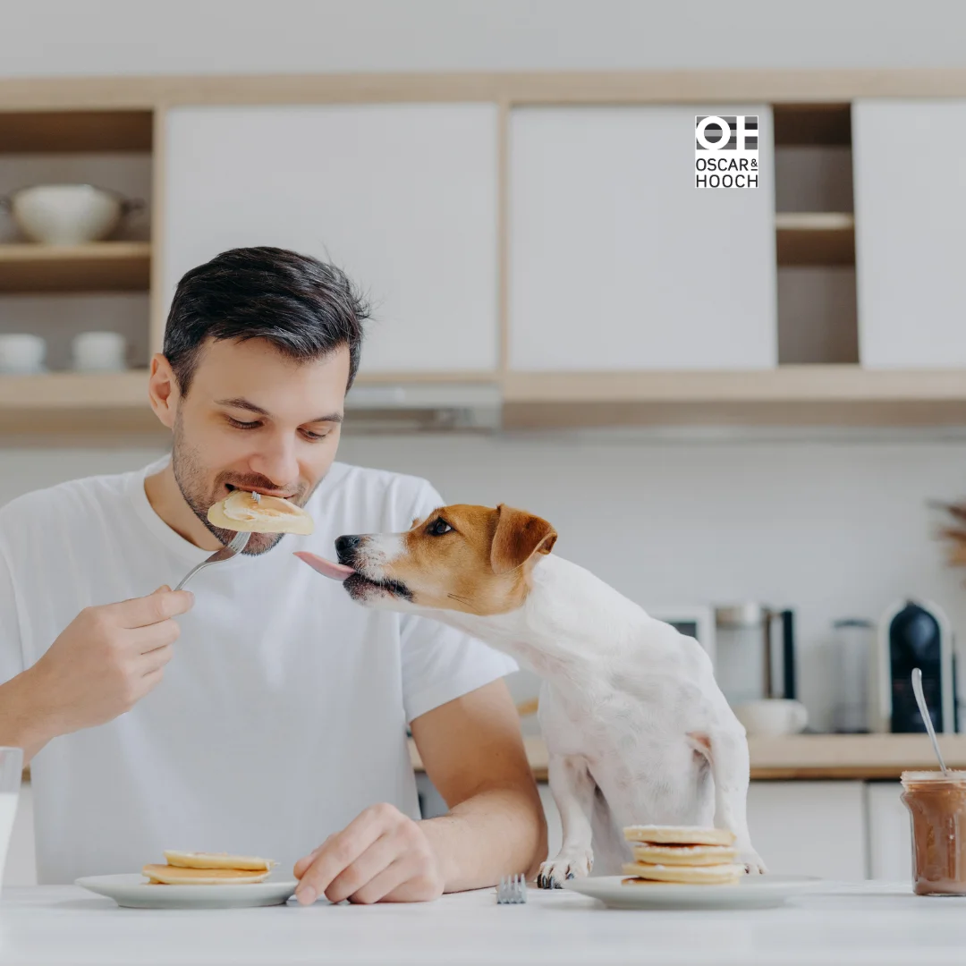 Can dogs eat pancakes?