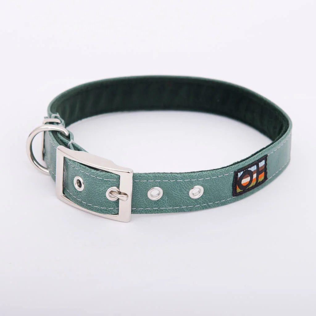 Harlow Range green vegan leather dog collar Large