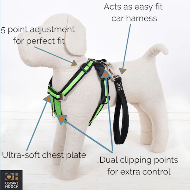 Oscar and Hooch dog harness with handle features
