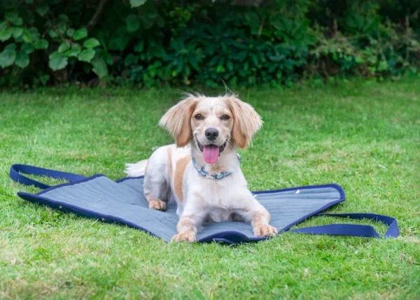 Oscar and Hooch dog travel mat, dog tote bag with dog in field